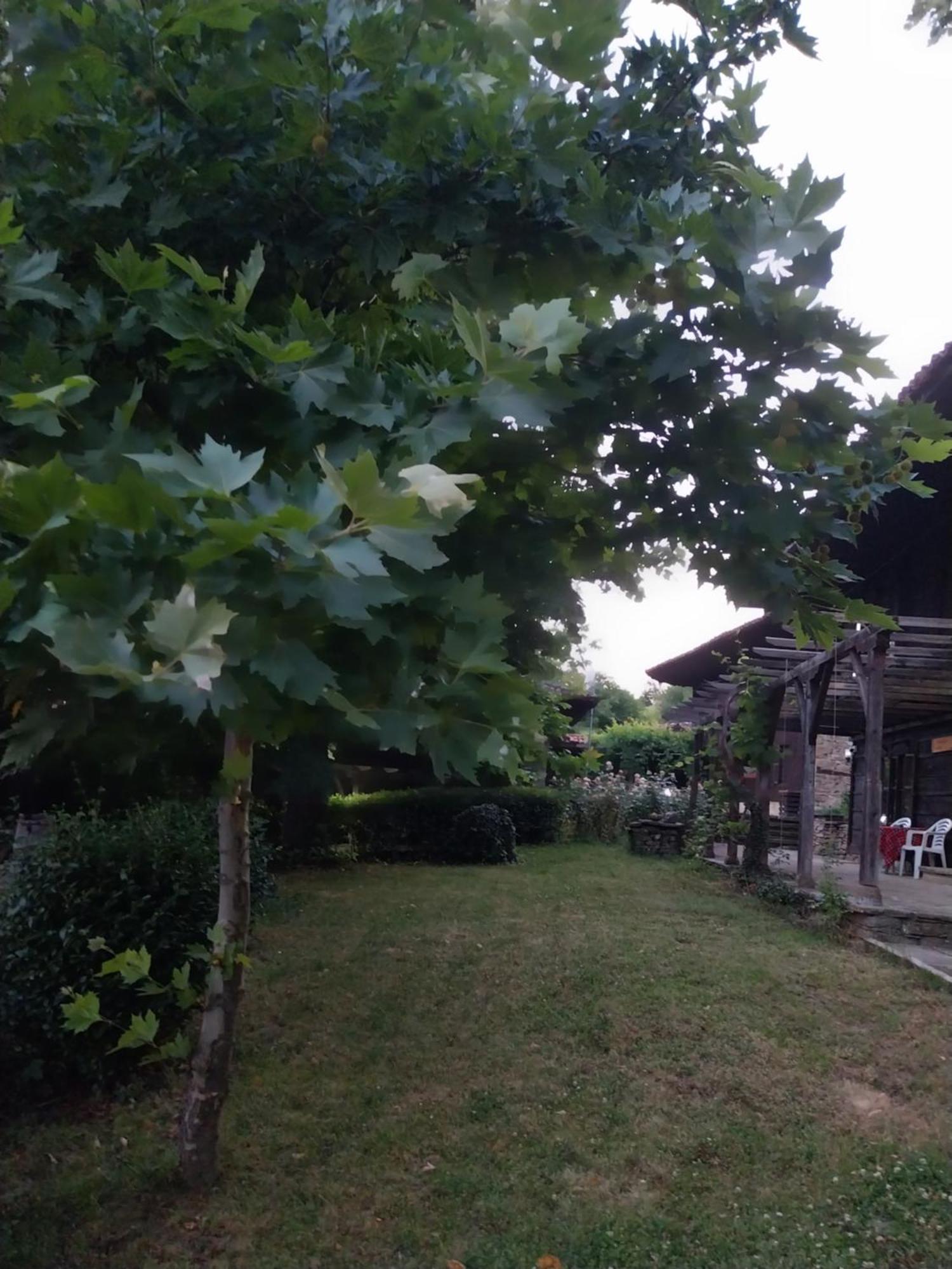 ז'רבנה Guest Houses "Zlatna Oresha - Complex" מראה חיצוני תמונה